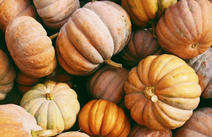 From Scratch Foods Lara McCormack pumpkin recipes