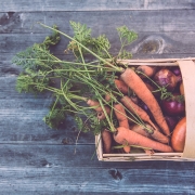 From Scratch Food Feed the Valley gardening Initiative