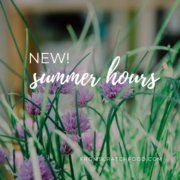 from scratch - summer hours