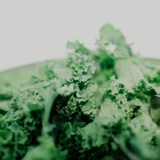 From Scratch Foods - Kale Winter Soup